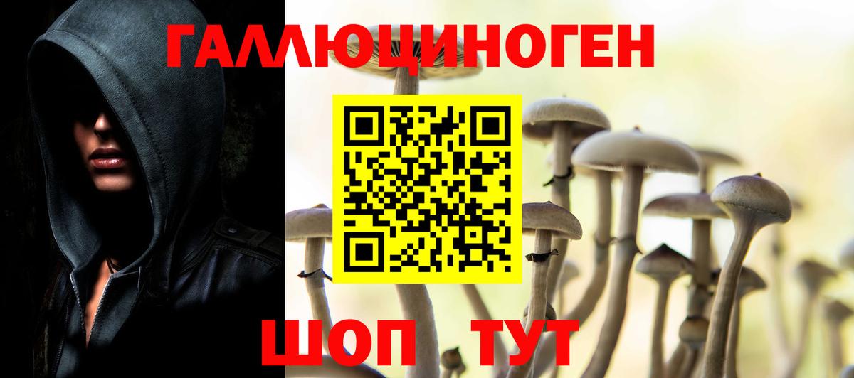 Старый Оскол  Псилоцибиновые грибы GOLDEN TEACHER  Вход с VPN 
